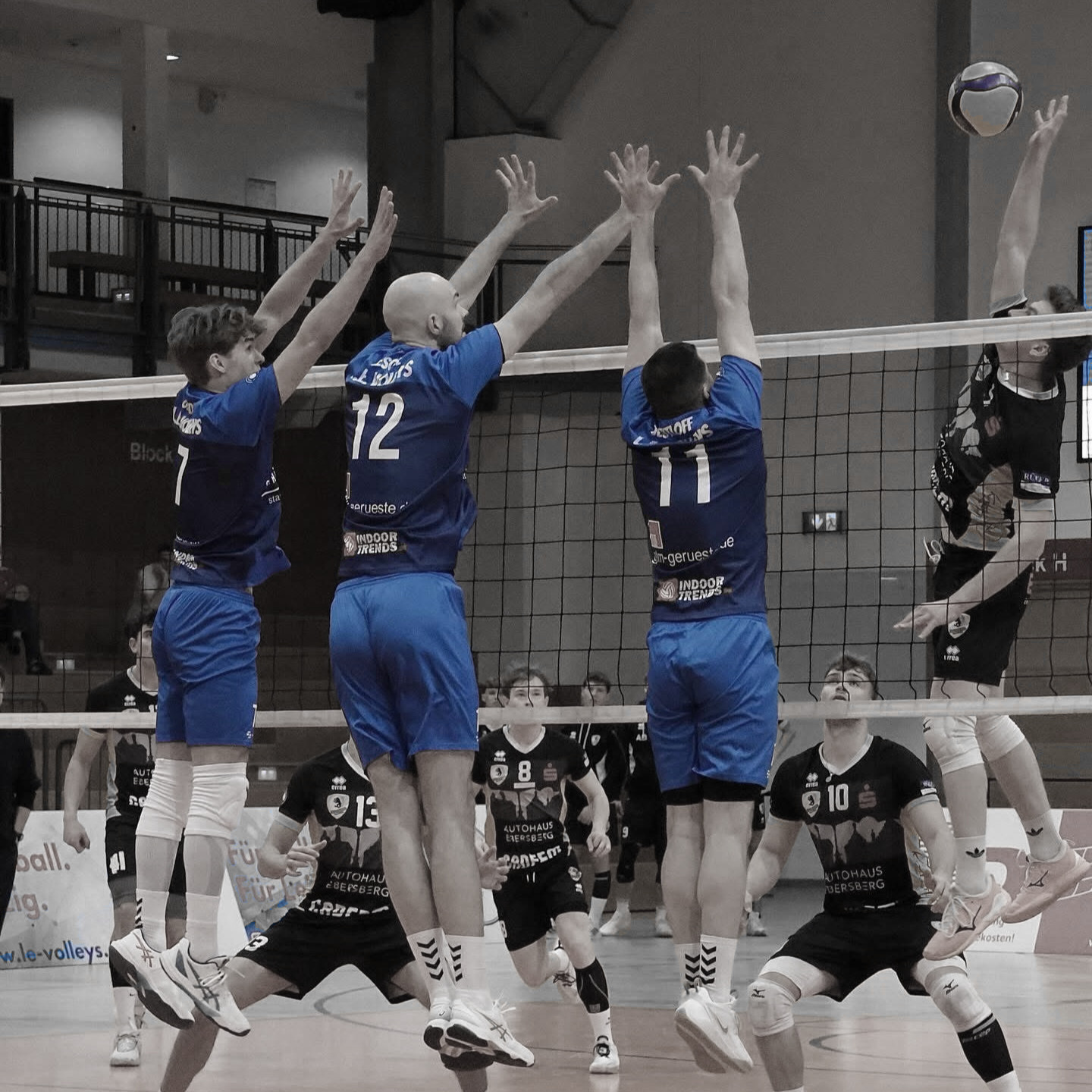 Teamplayer im Leistungssport und Alltag
